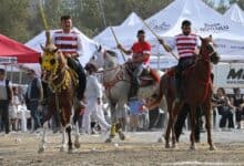 Manisa Turgutlu'da 4. Geleneksel Cirit ve Keşkek Festivali Düzenlendi