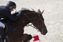 Ankara'daki Başkanlık Kupası'nda 145 cm engellerde Altindag kazandı