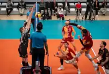 Galatasaray Madeş Mobilya Şampiyonlar Kupası'nı kazandı